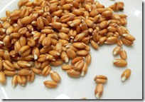 польза пророщенной пшеницы